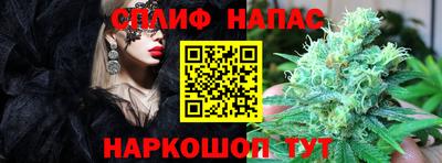 хмурый Кингисепп