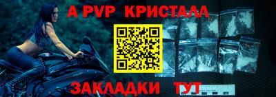 хмурый Кингисепп