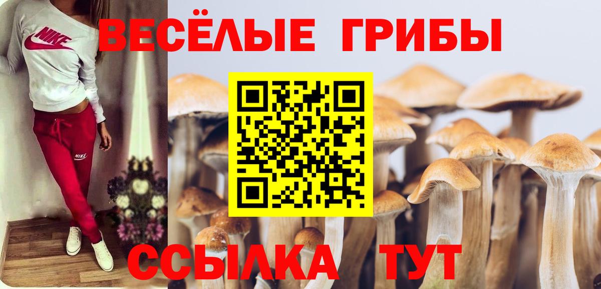 Галлюциногенные грибы мицелий Кудрово